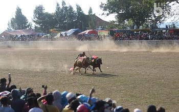 Kejuaraan karapan sapi yang digelar dalam rangka hari jadi (harjad) Jet Matic Foundation (JMF) dan Big Boss di lapangan Priok, Kecamatan Ketapang, Kabupaten Sampang, Madura